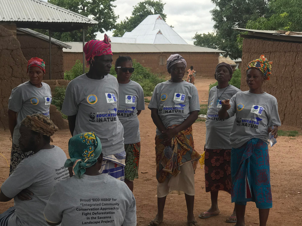 Restoring Ecosystems, Empowering Communities: Our Fight Against Deforestation in Ghana